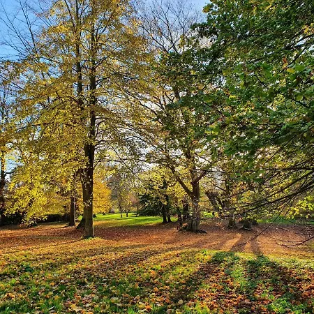 דירה Nahe Ostsee Kuehlungsborn *