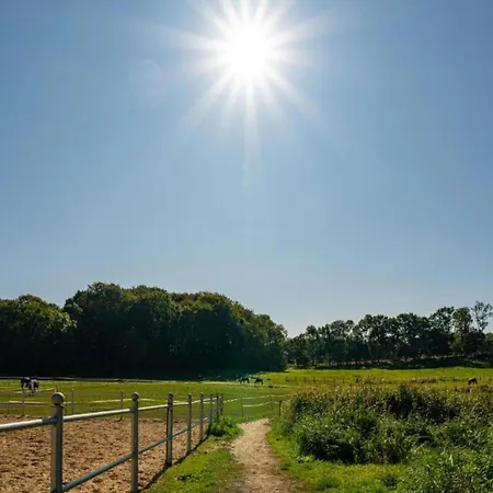 דירה Nahe Ostsee Kuehlungsborn Gerdshagen