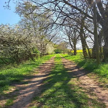 Nahe Ostsee Kuehlungsborn *