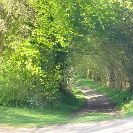 Nahe Ostsee Kuehlungsborn * Gerdshagen
