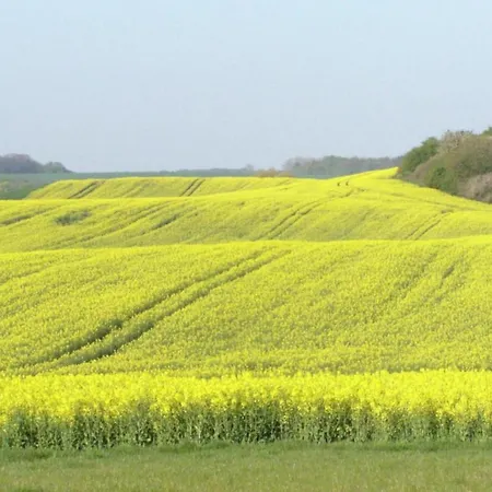 Nahe Ostsee Kuehlungsborn