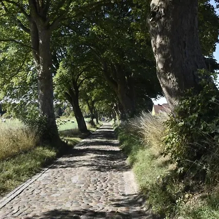 Nahe Ostsee Kuehlungsborn *