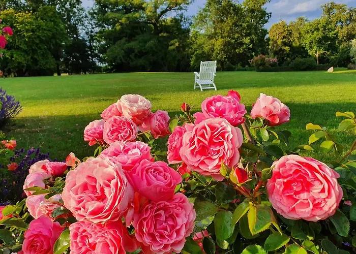 Apartment Nahe Ostsee Kuehlungsborn *
