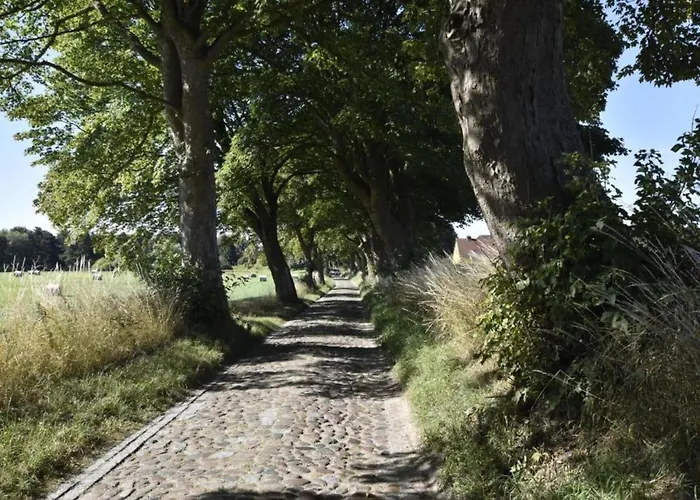 Nahe Ostsee Kuehlungsborn *